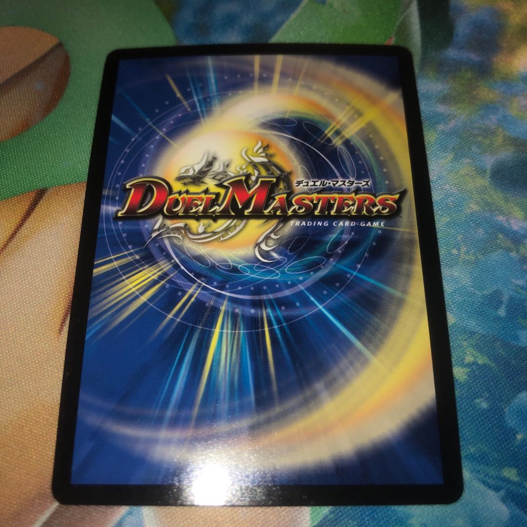 煌龍 サッヴァーク MDG