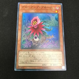 グローアップ・ブルーム スーパーレア