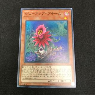 グローアップ・ブルーム スーパーレア