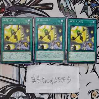 845　魂写しの同化3枚set