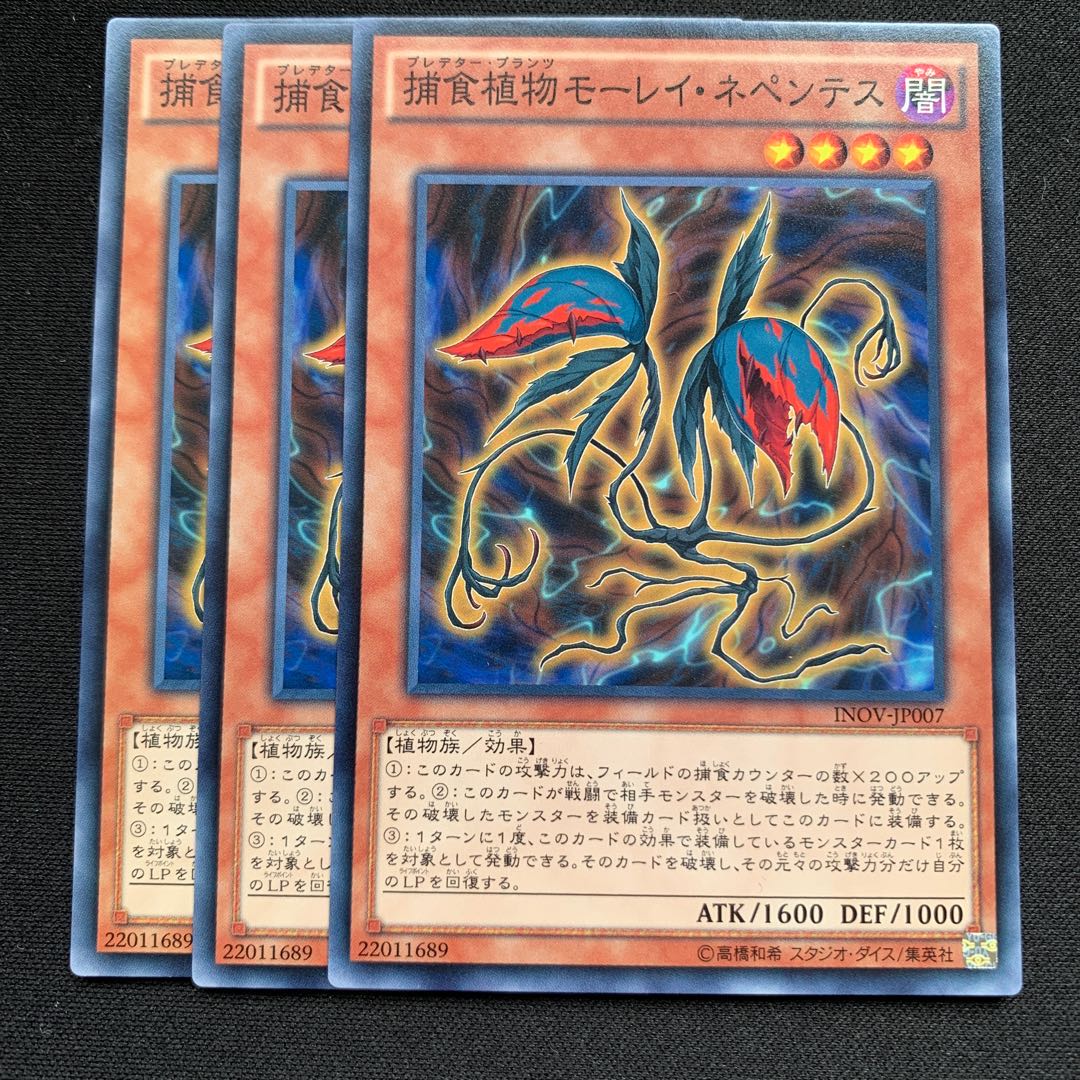 GHY 捕食植物モーレイ・ネペンテス ノーマル 3枚セット