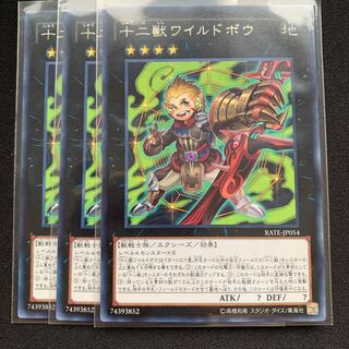 GHY 十二獣ワイルドボウ レア 3枚セット