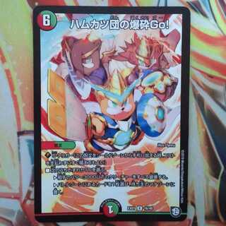 ハムカツ団の爆砕Go！