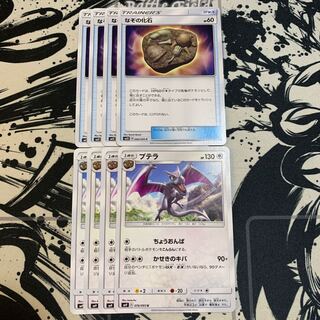 プテラ　なぞの化石