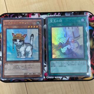 宝玉の絆、レスキューキャット