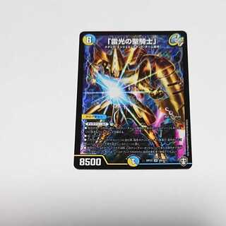 雷光の聖騎士1枚