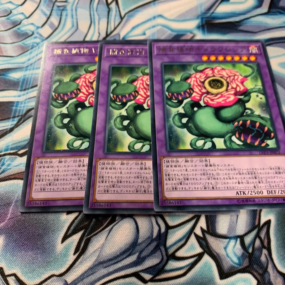 捕食植物キメラフレシア レア