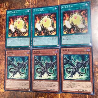 遊戯王★黒鋼竜、紅玉の宝札★ノーマル三枚★