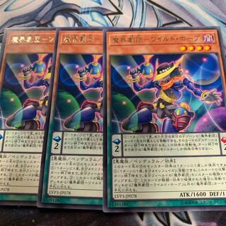 Magic troupe - Wild Hope Rare