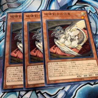 破壊剣士の伴竜 ノーマル