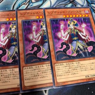 レプティレス・ヴァースキ ノーマル