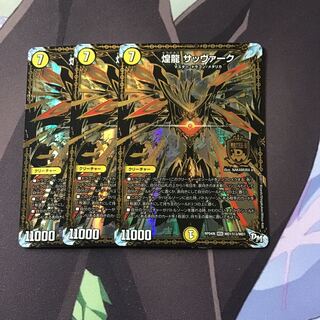 煌龍 サッヴァーク SE3枚