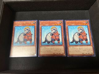 レスキューフェレット レア 3枚セット