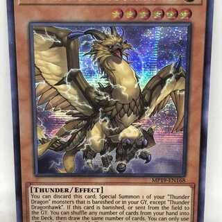 遊戯王 英語 雷鳥龍－サンダー・ドラゴン 1st MP19 プリシク