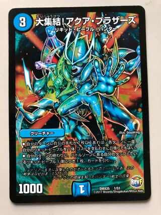 大集結!アクア・ブラザーズ