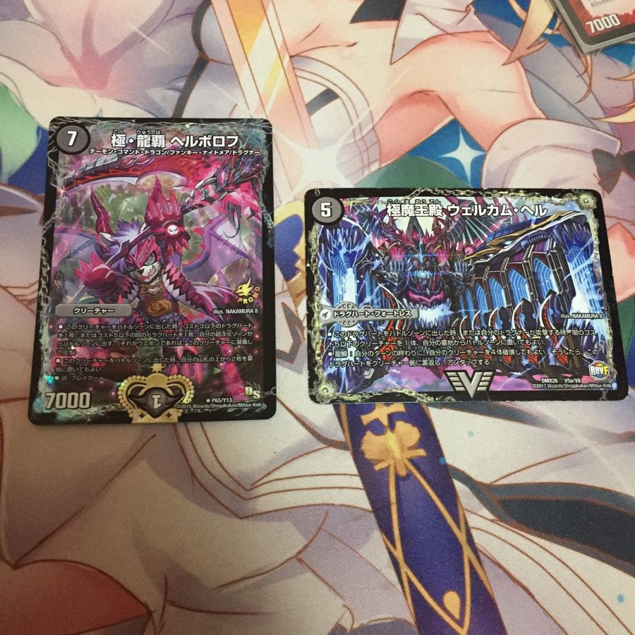 ヘルボロフプロモ