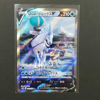 はくばバドレックスV SR