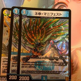 ネ申・マニフェスト2枚セット