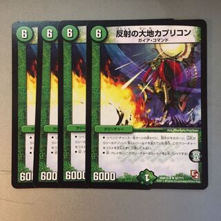 【値下げ】反射の大地カプリコン