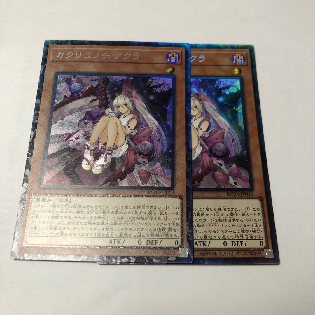 カクリヨノチザクラ コレクターズレア