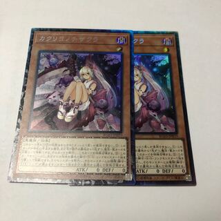 カクリヨノチザクラ コレクターズレア