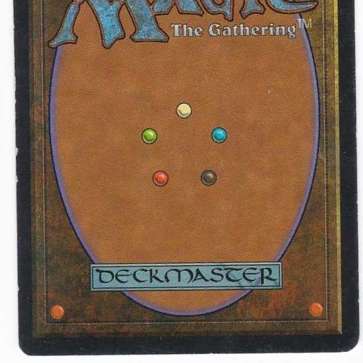 RV Tropical Island (English) Revised Dual Land 150