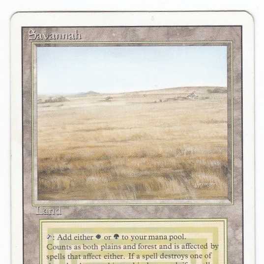 RV Savannah (英語) リバイズド デュアルランド管理146