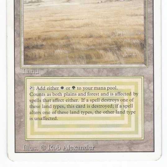 RV Savannah (英語) リバイズド デュアルランド管理146