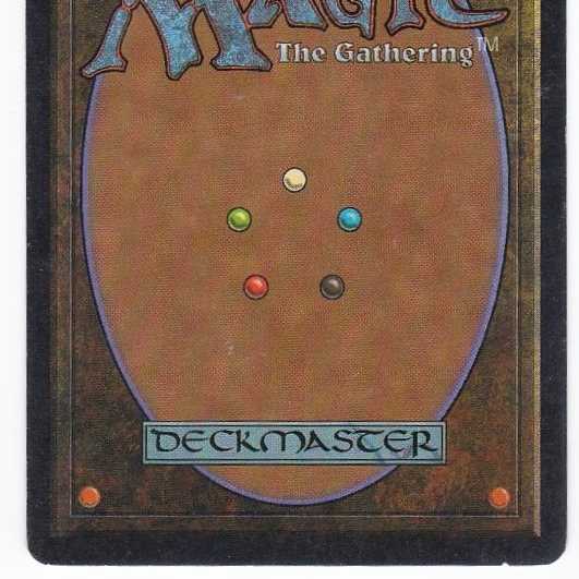 RV Savannah (英語) リバイズド デュアルランド管理146