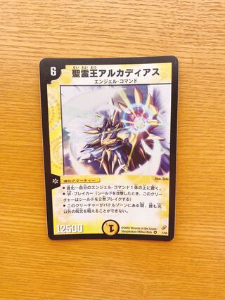 超美品 聖霊王アルカディアス 初期