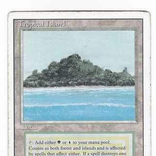 RV Tropical Island (English) Revised Dual Land 147