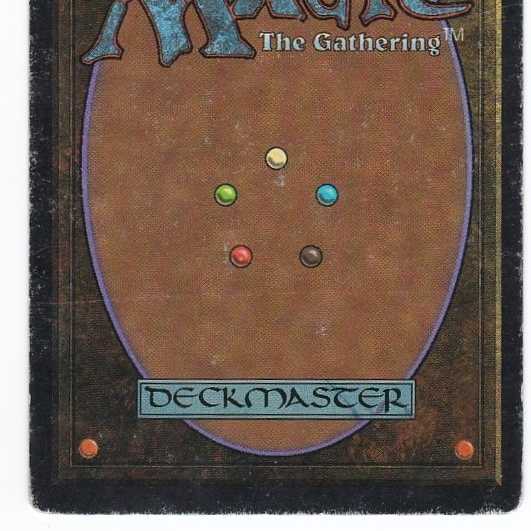 RV Tropical Island (English) Revised Dual Land 147