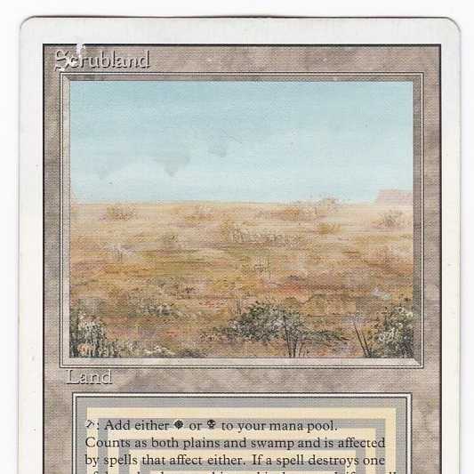 RV Scrubland (英語) リバイズド デュアルランド 管理149 1枚