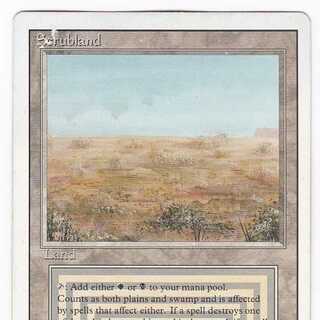 RV Scrubland (英語) リバイズド デュアルランド 管理149 1枚