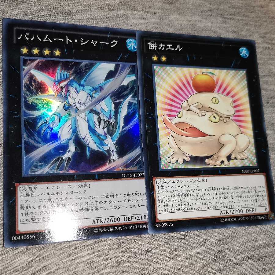 最安値 餅カエル バハムートシャーク 2枚セット