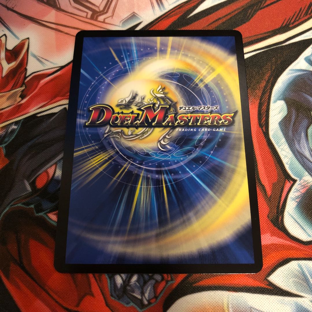 閃光の守護者ホーリー 蒼龍革命 黒