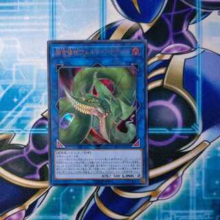 捕食植物ヴェルテ・アナコンダ ウルトラレア