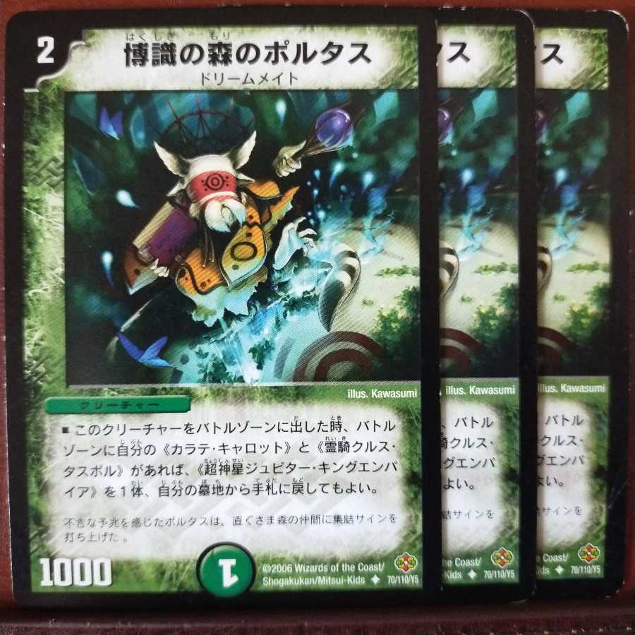 mri1304セット割引 博識の森のポルタス