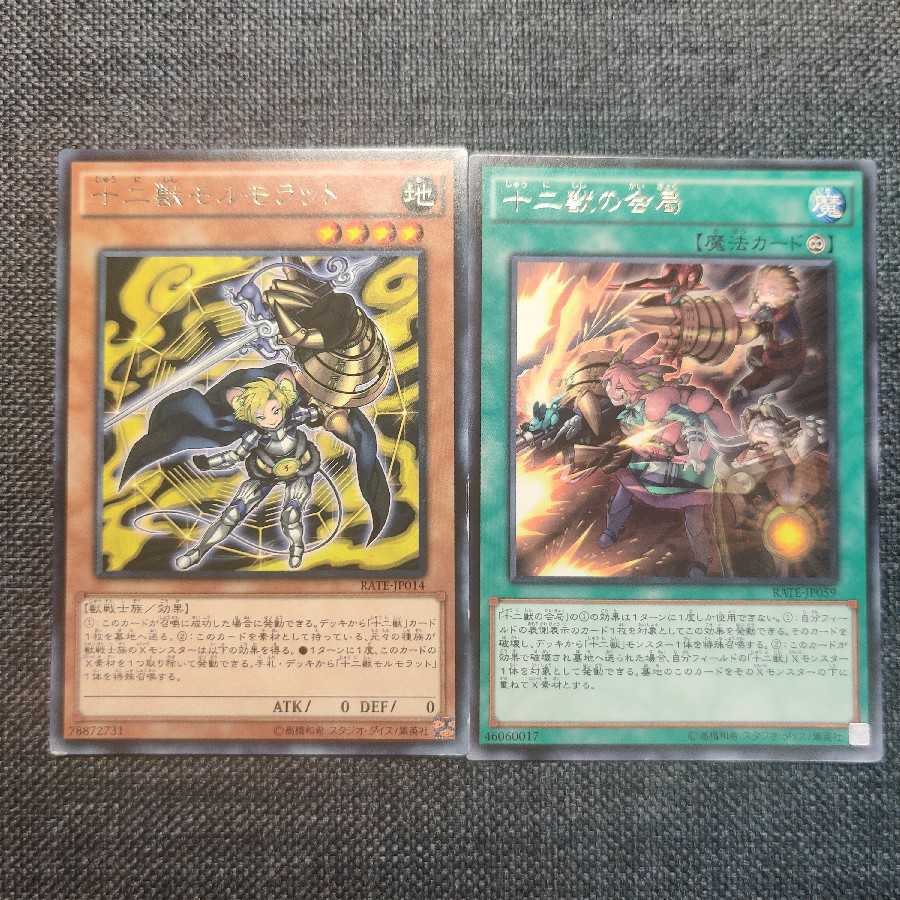 十二獣モルモラット