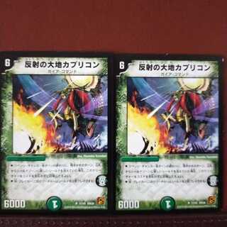 mri1329 set discount reflective earth capricorn