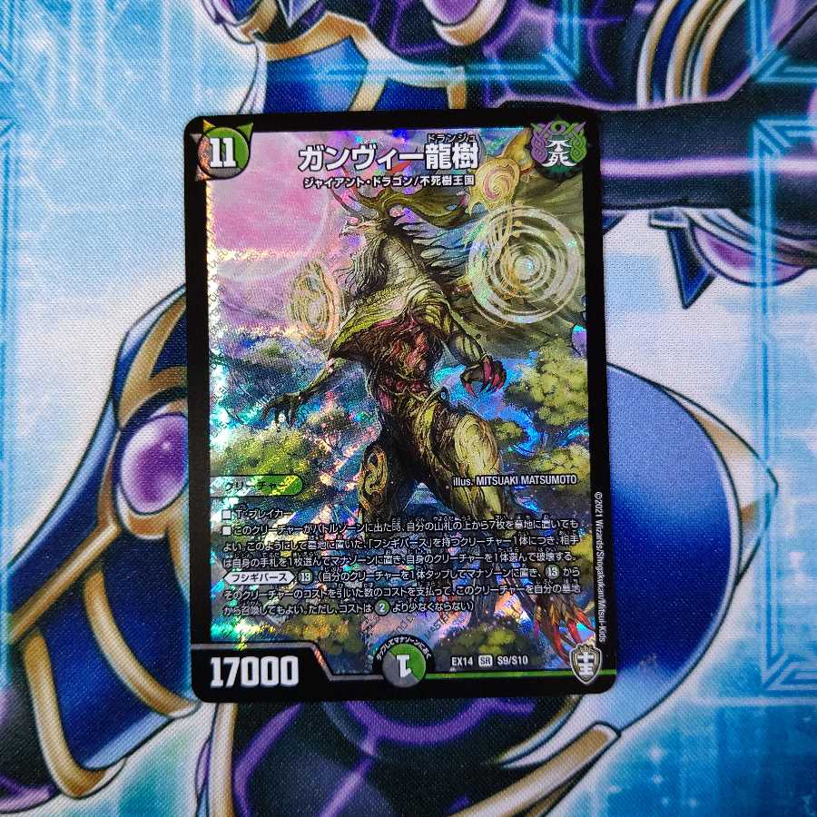 ガンヴィー龍樹