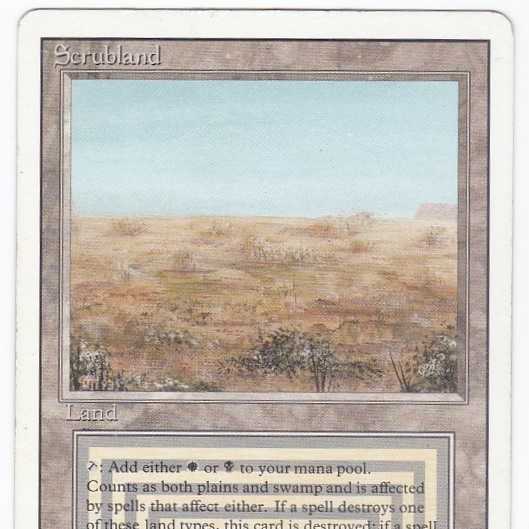 RV Scrubland (英語) リバイズド デュアルランド 管理180-2 1枚