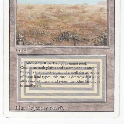 RV Scrubland (英語) リバイズド デュアルランド 管理180-2 1枚