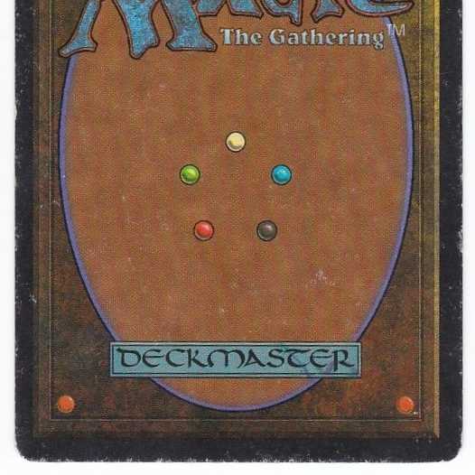 RV Scrubland (英語) リバイズド デュアルランド 管理180-2 1枚