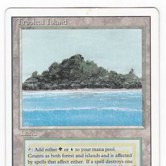 RV Tropical Island (English) Revised Dual Land 155