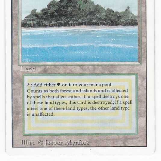 RV Tropical Island (English) Revised Dual Land 155