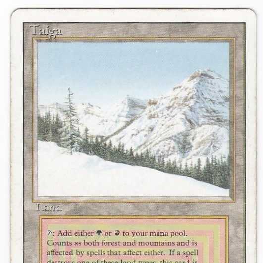 RV Taiga (英語) リバイズド デュアルランド 管理179-2 1枚