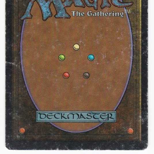 RV Taiga (英語) リバイズド デュアルランド 管理179-2 1枚