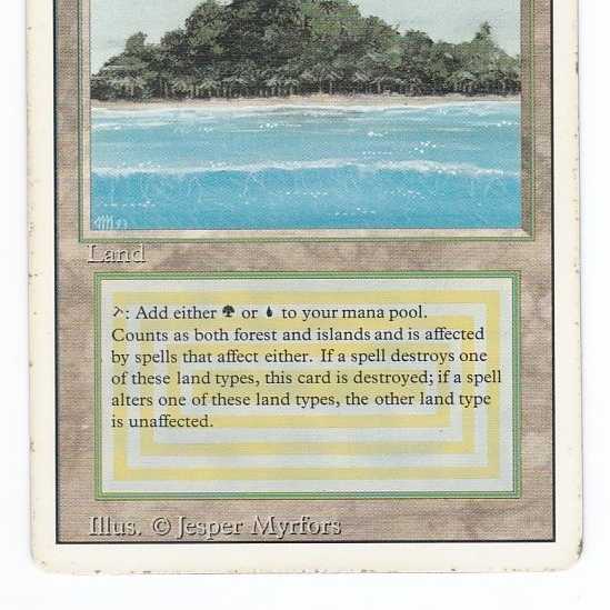 RV Tropical Island (English) Revised Dual Land 167