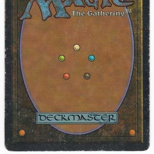 RV Tropical Island (English) Revised Dual Land 167